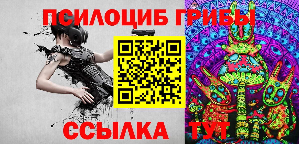 купить  сайты  Вход с VPN  Рязань  Галлюциногенные грибы Psilocybine cubensis 
