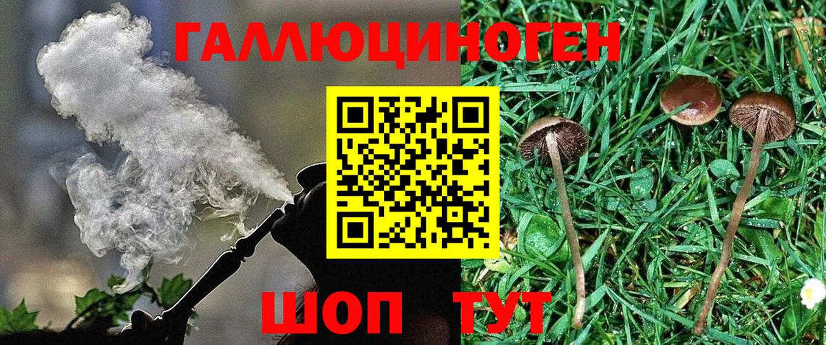 Галлюциногенные грибы Cubensis Рязань